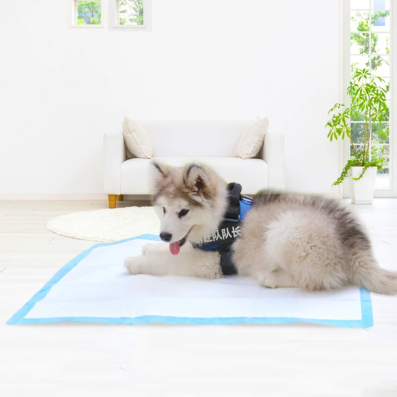Oem Attractive Carpet Underpad All Absorb Puppy Training Grass Scented Dog Pee Pad For Dog