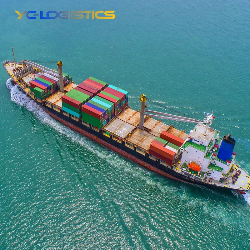 Морской океан экспедитор DDP DDU доставка из Китая в Испания Европа Португалия Нидерландская финская Ирландия