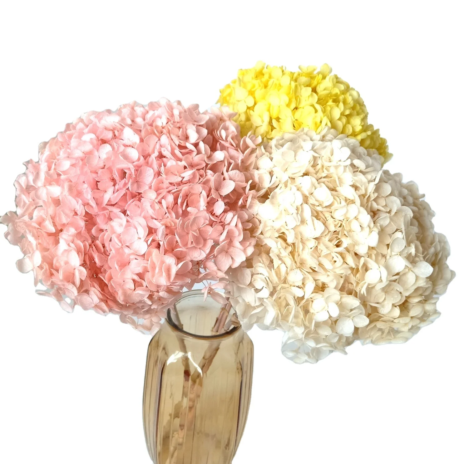 preserved hydrangea natural flowers with stem, hydrangeas home decor, wedding flowers China Supplier