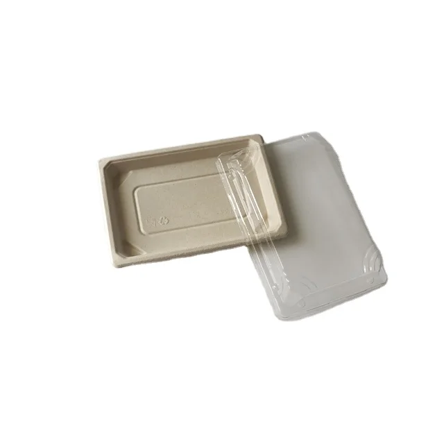 Hot sale bagasse sushi tray with separated lid PLA coating sushi tray with lid