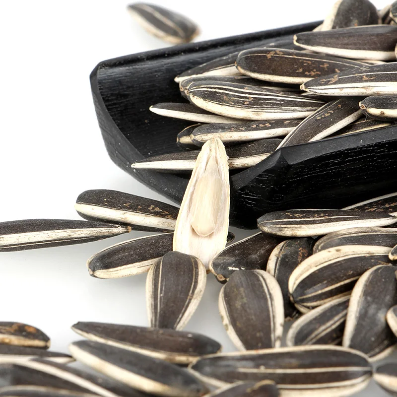 cha cha sunflower seeds