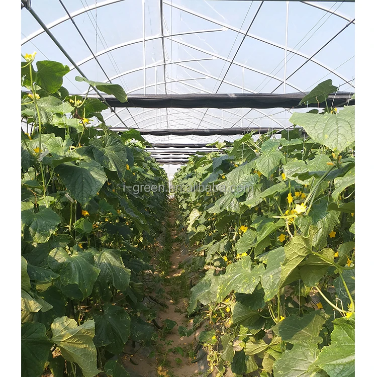 Film Frame Plastic Large Green House Metal Frame Large Plastic Tray for Seed Planting Large Glass Flower Base Customizable Size