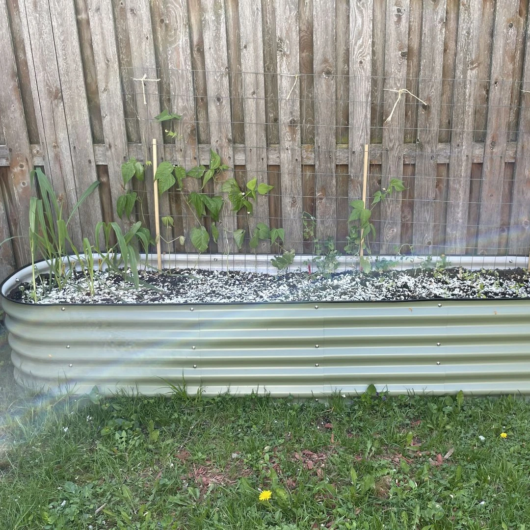 Aluzinc Raised Garden Bed Planter Box Galvanized Steel Outdoor Planters