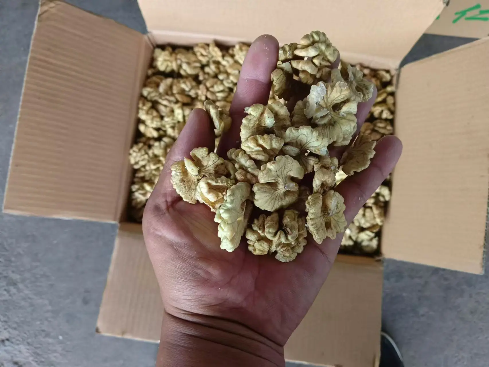 Excellent quality Thin-skin Raw Walnut with shell in bulk wholesale