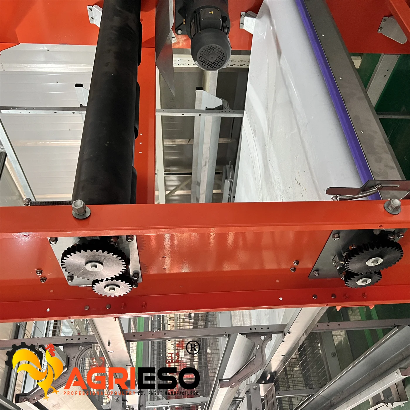 Agrieso Chicken Laying Battery Cages Hot Dip Galvanised 3/4 Tiers Chicken h Type Layer Cage Manure Egg Collection System