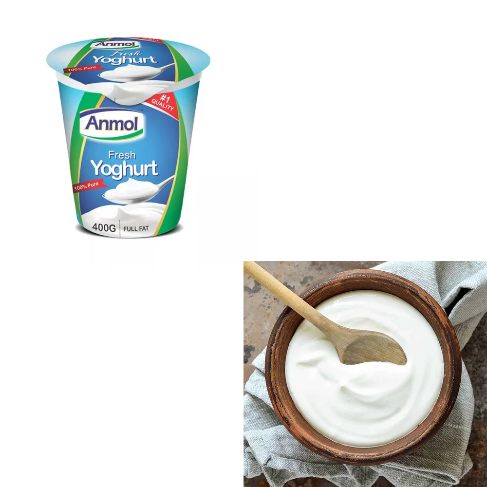 Foodies (PVT.) Limited Fresh Yogurt for Everyday Use Wholesale Imported from Pakistan of High Quality