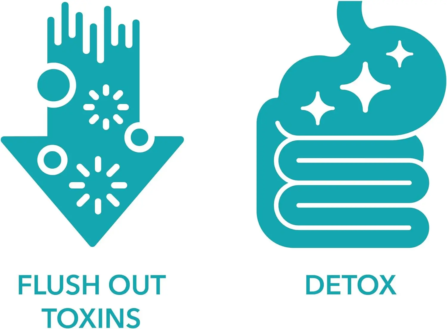 Gut Health and Gut Supplement Improved Digestive Comfort 15 Day Cleanse Detox Gut and Colon Support Advanced Capsules