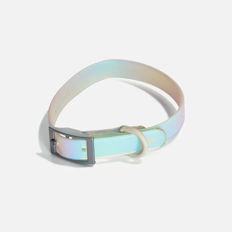 Hot Sales Dazzling Holographic Transparent Reflective Custom Waterproof Dog Collar and Leash Set