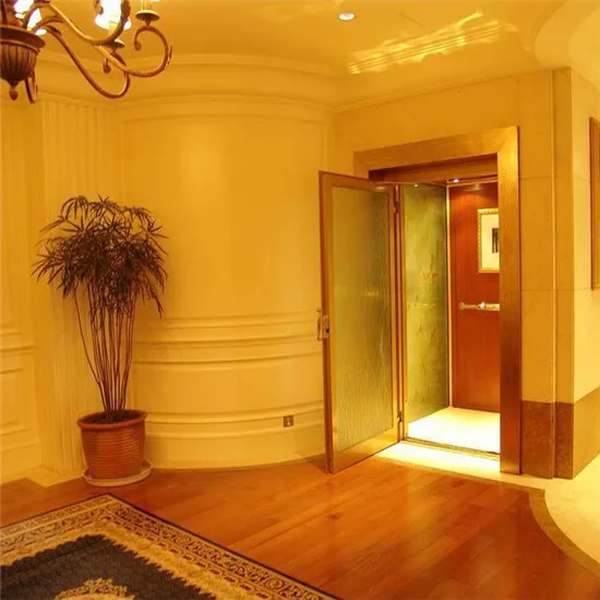 AC VVVF 4 Persons Elevator Home Lift Home Mini Lift
