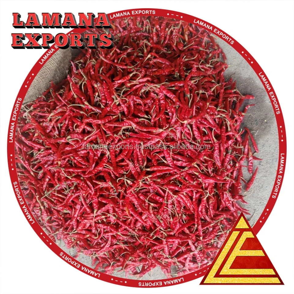 Dried Red Chilli S17 Teja with Stem India Chilli Deluxe Quality for Thailand