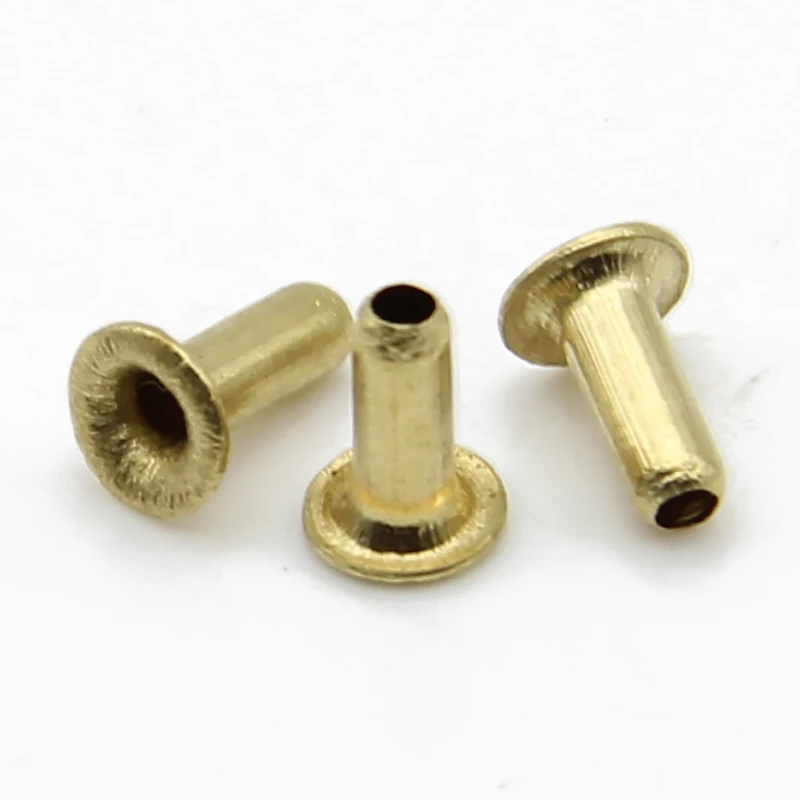 Application Industry M1.5-m6 Brass Copper Steel Hollow Soild Rivet