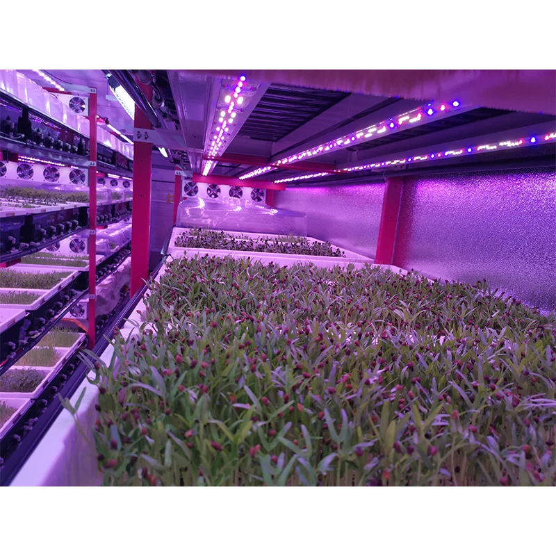 Контейнер microgreens вертикальный контейнер для гидропонных систем выращивания растений на умных фермах
