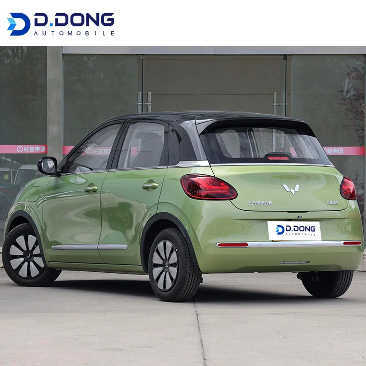 Автомобильный 2023 Dongdong новый для запуска мини-электромобиль взрослых