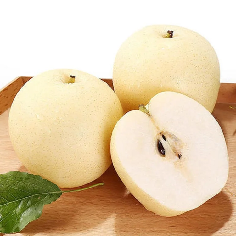 
fresh China round pear good quality new crop 