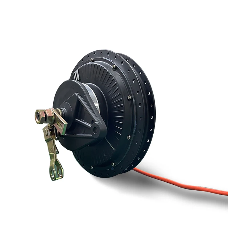 QS 212 1000W 30H Spoke Hub Motor For Electric Bike Motorcycle