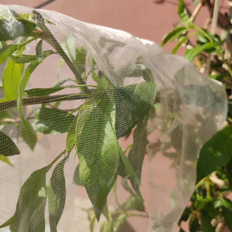 Transparent Nylon Bird Mist hdpe bird netting agritultural mesh for fruit trees protect