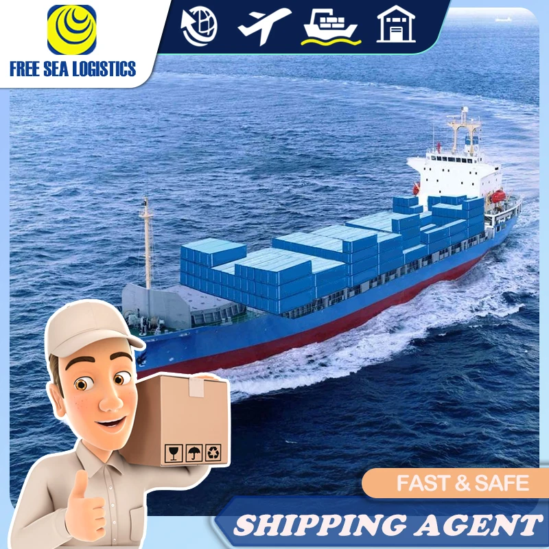 40GP shenzhen forwarder sea freight to Ashdod Israel full container transport service