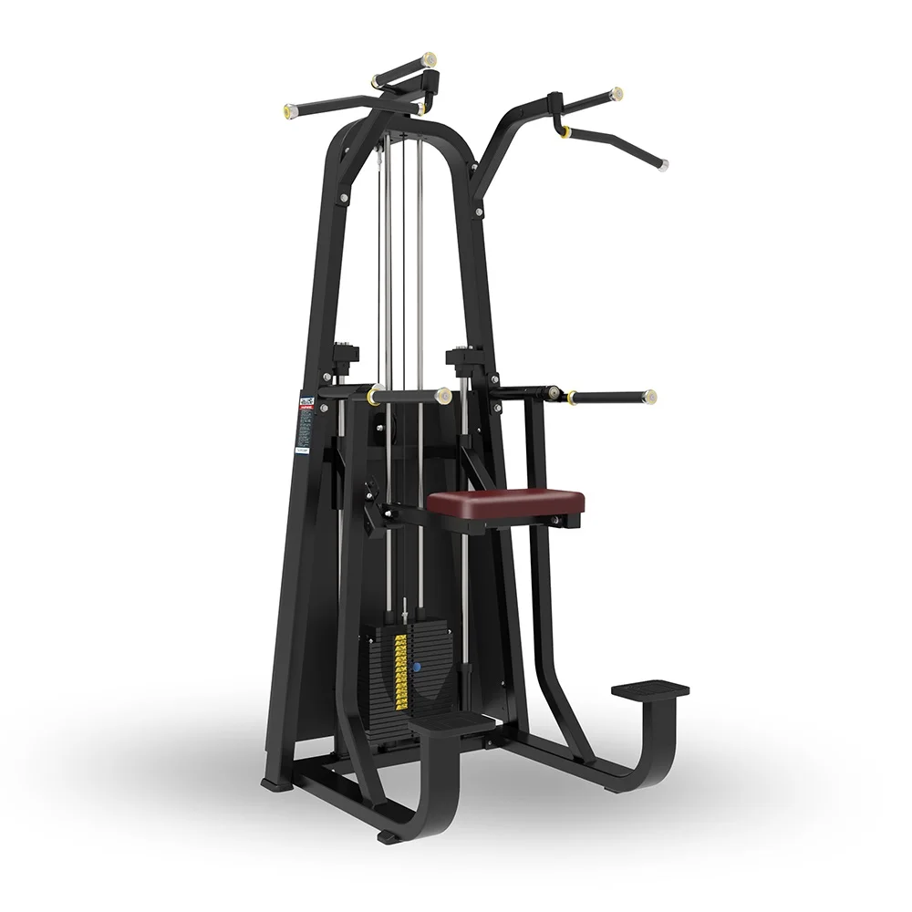 Best Gym Machine In China Commercial Pin Loaded Selection Dip/Chin Assisted Chin Pull Up Machine for Body Building