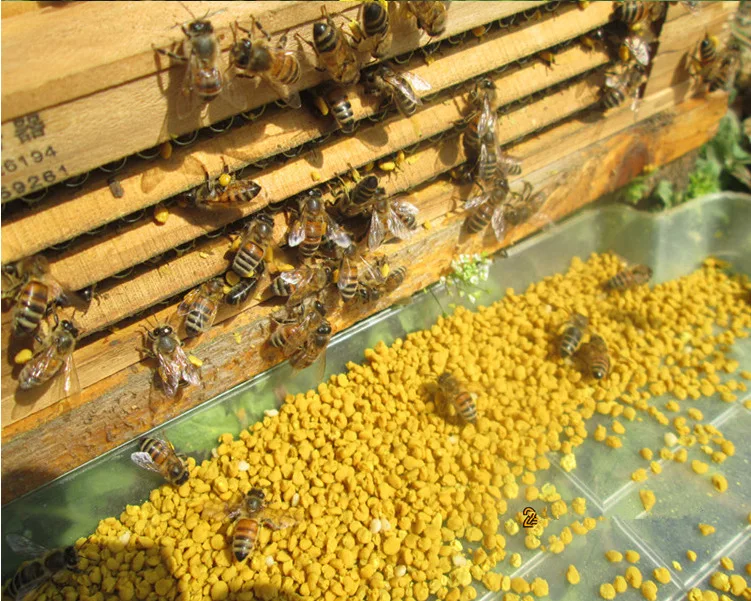 Fresh rape bee pollen High quality bee pollen natural Cheap bee pollen