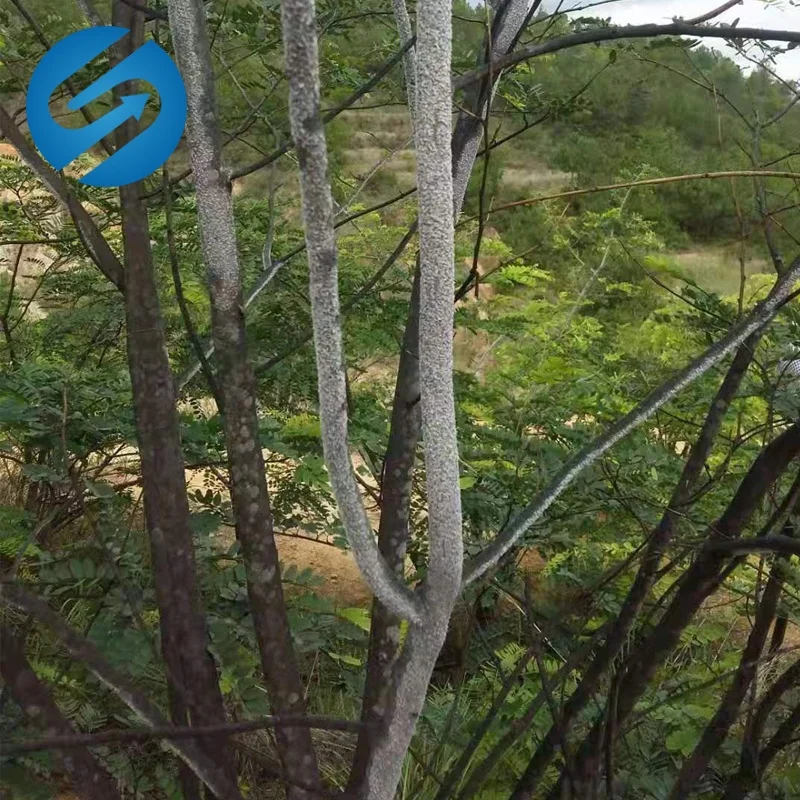 Wax Shellac Wax CAS 97766-50-2 shellac 97766502