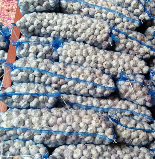 New Crop Factory Supplier Normal White And Pure White Garlic