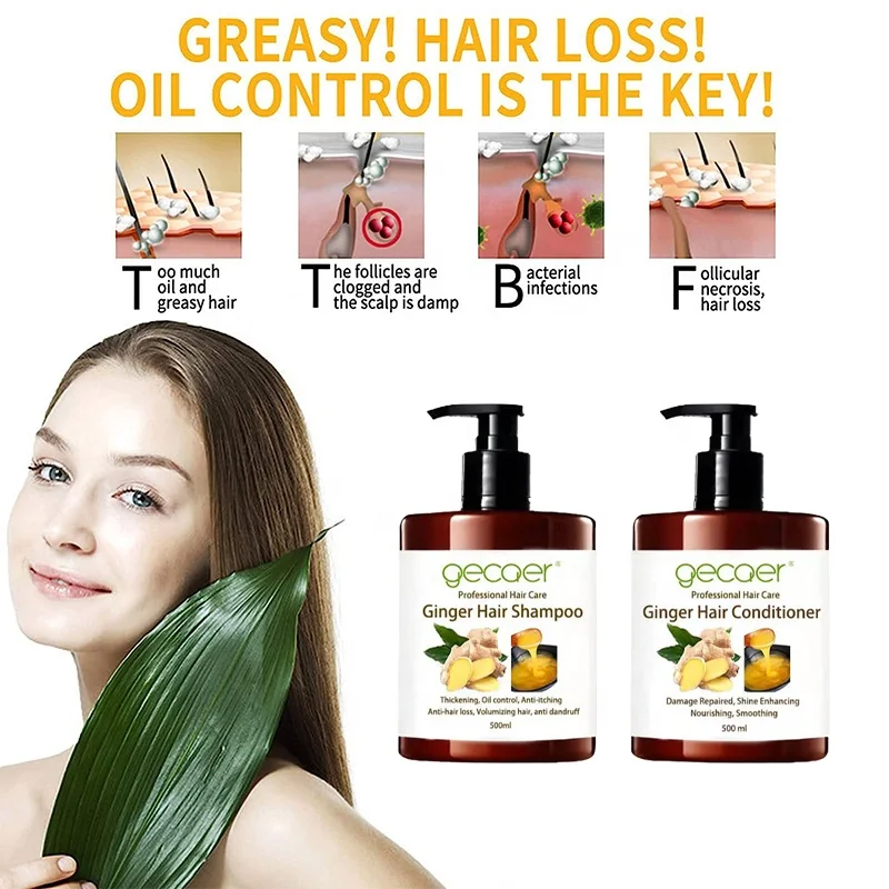 Wholesale Ginger organic fast Hair Growth Shampoo For Thinning Hair Anti Hair Loss Shampoo And Conditioner