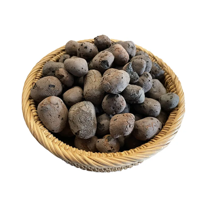 High Quality Ceramic Pellets for Horticultural Soilless Gardening Wholesale Bulk Supply