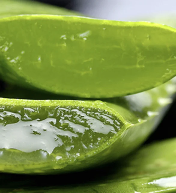 Aloe Vera Juice