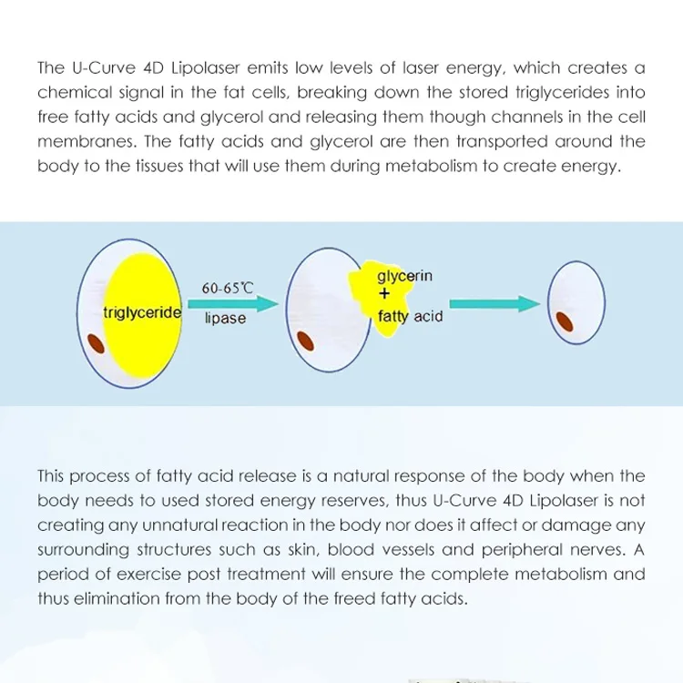 Germany Stand Parts Gurtel Shaper 40k Vaser 6d Lipo Laser