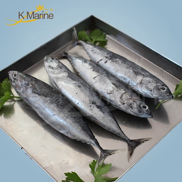Высокое качество, Бонито, индонезийский консервированный тунец, цена