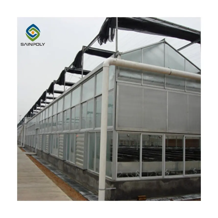 Sainpoly agriculture intelligent greenhouse multi-span PC sheet glass tomato greenhouse with hydroponic growing syste