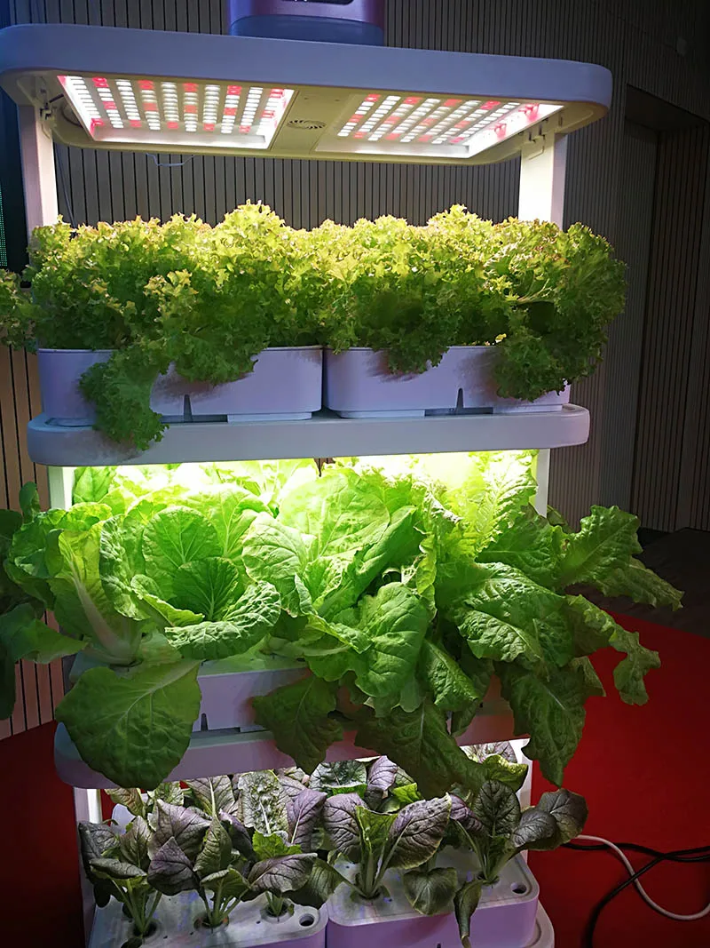 Full Spectrum Indoor Hydroponic Grow Light 3 Layer indoor vegetable growing rack machine for leafy vegetables pepper lettuce