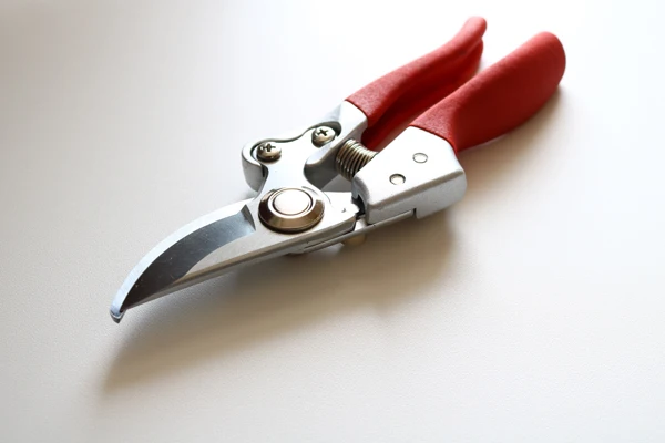 Factory Direct Wholesale Stock Stainless Steel Plastic Dip Pruning Shears Picking Fruit Grape Fruit Branches Garden Hand Tools