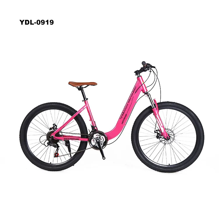 Aluminum Alloy frame mountain bike ladies city bike bicycle women mountain bike