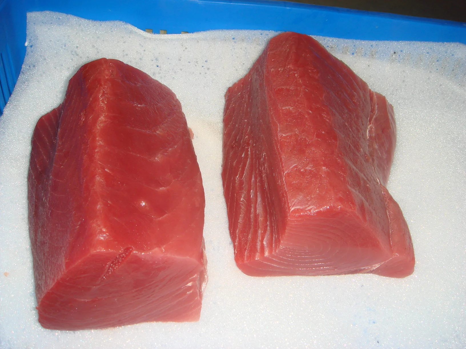 
Guaranteed quality proper price yellowfin frozen tuna loin instant food for seafood 