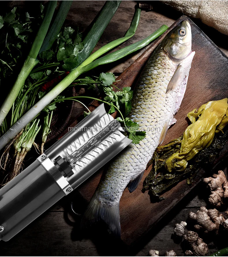 2020 new fish scaling machine Fish Scale Remover