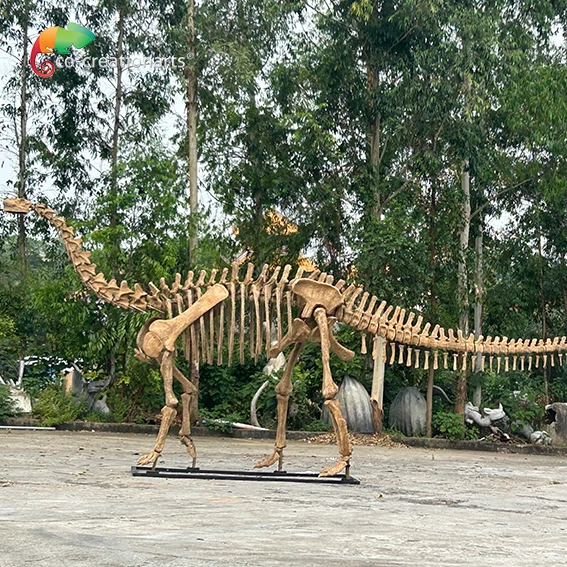 Dinosaur skeleton replica Jurassic Park Dinosaur simulation fossil dinosaur bones