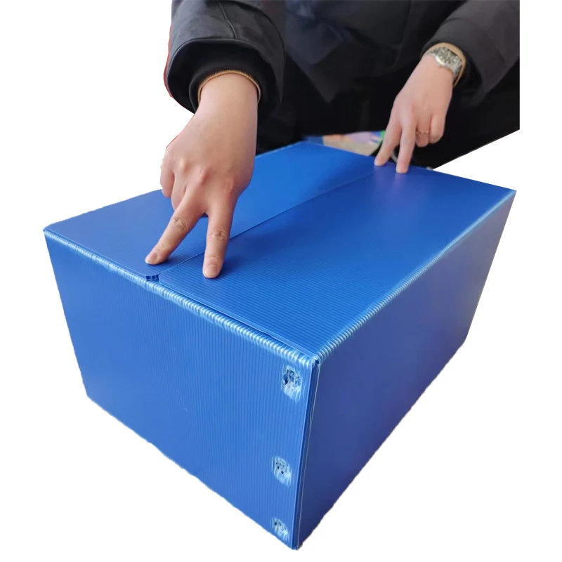 polypropylene sheet crates plastic storage collapsible crate vegetables crates corrugated cardboard box