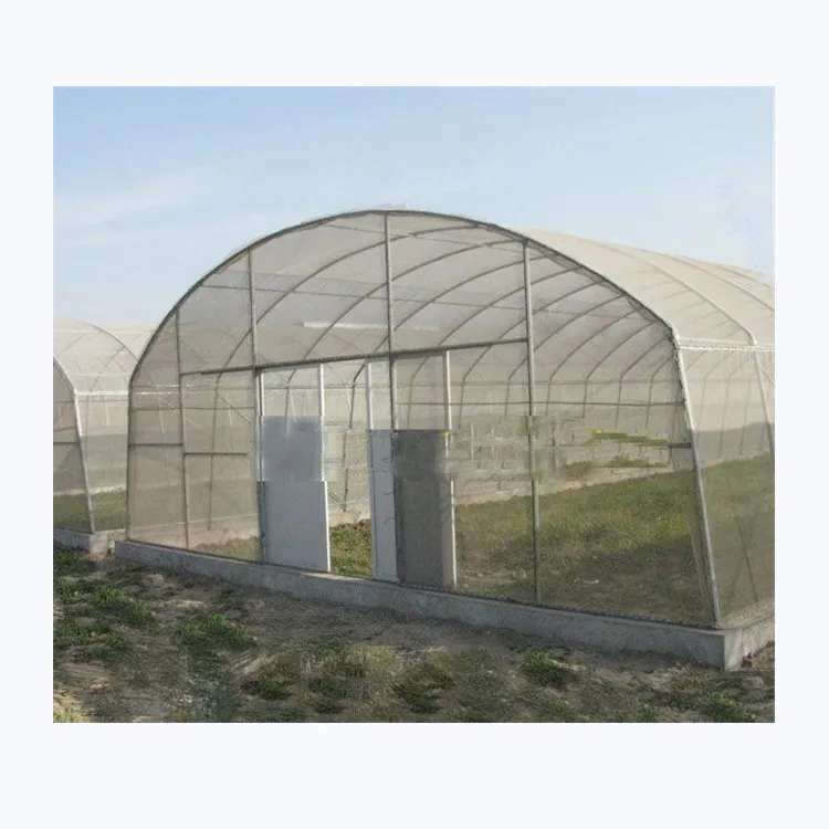 Agricultural polytunnel commercial tunnel greenhouse for mushroom tomato with hydroponic cooling system