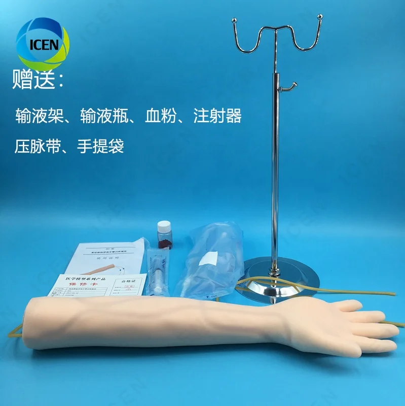 IN-M7 Amain Good Quality Injection Training Hand Arm Venipuncture Practice Model Intramuscular Training Model For Hospital