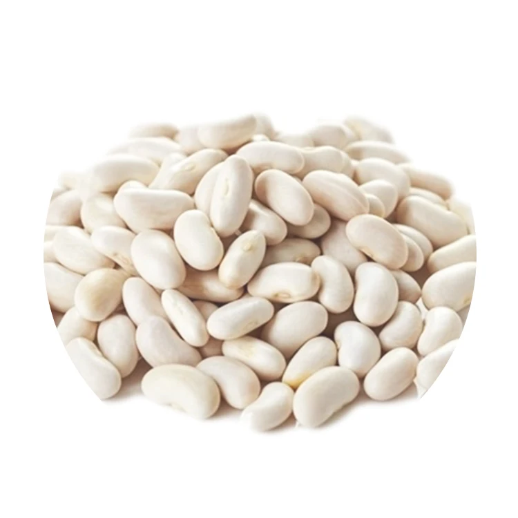 Long Shape White Beans Dried Kidney Beans White Kidney Wholesale Price White Kidney Beans From Kyrgyzstan