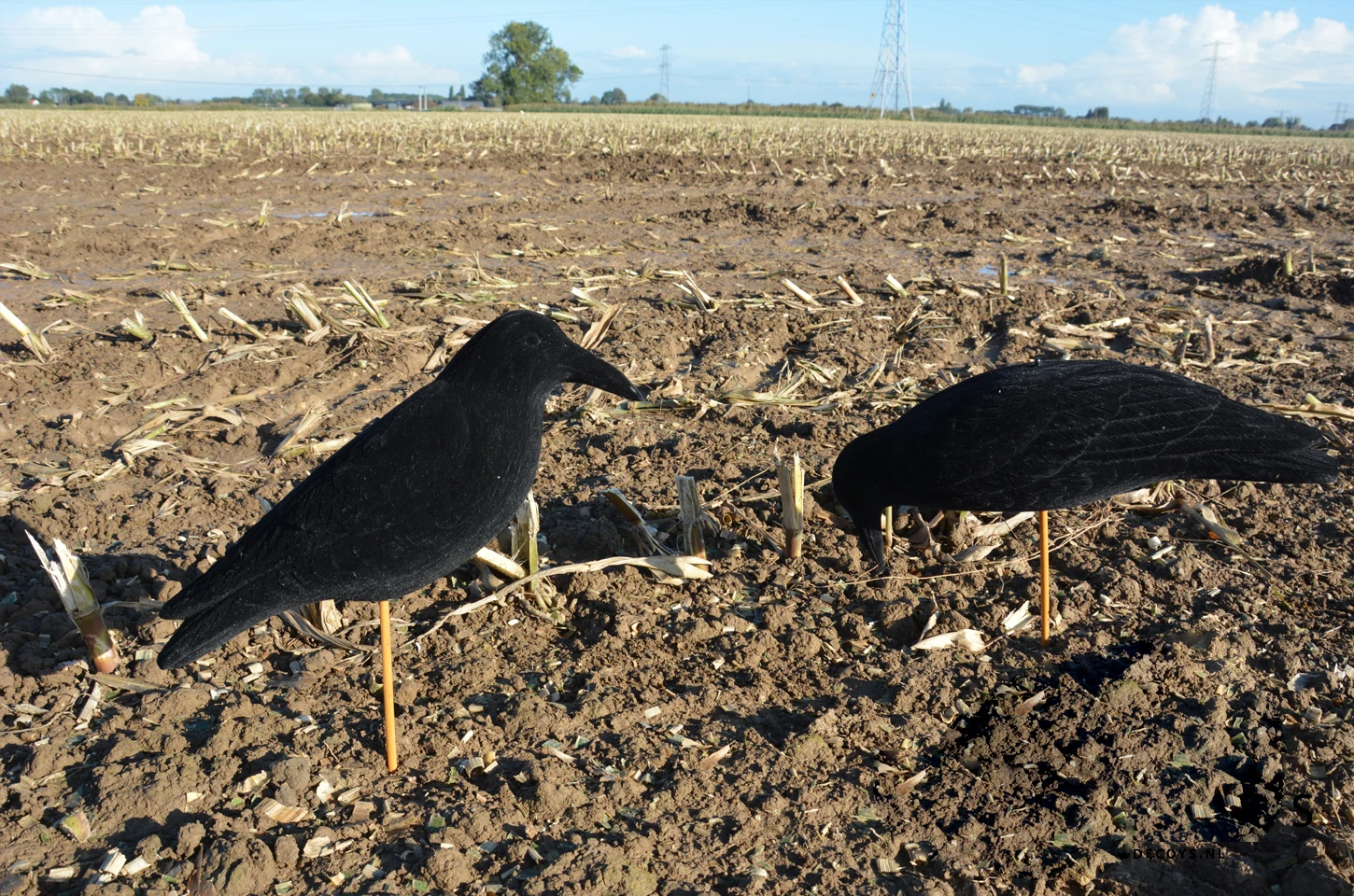 Artificial Crows Wholesale Hunting Crow Decoy Magnum Cradle Crow Foraging In Flocked