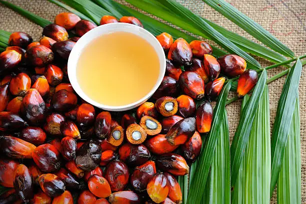 Food Grade USA Plant 100% Pure Natural Olein CP8 Rbd CP10 Quality Elaeis Guineensis Crude Refined Palm Oil (CPO)