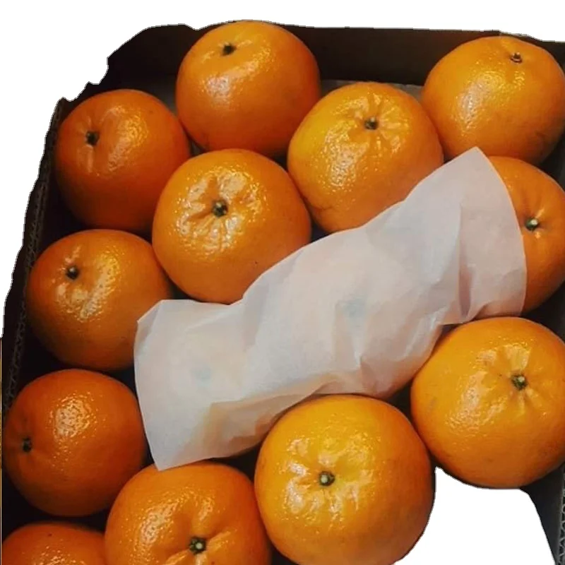 Свежая цена на кинноу, Пакистан, Sargodha Kinnow/свежие мандарин OrangesBulk, Свежие Мандарины Kinno, пакистанский кино мандарин