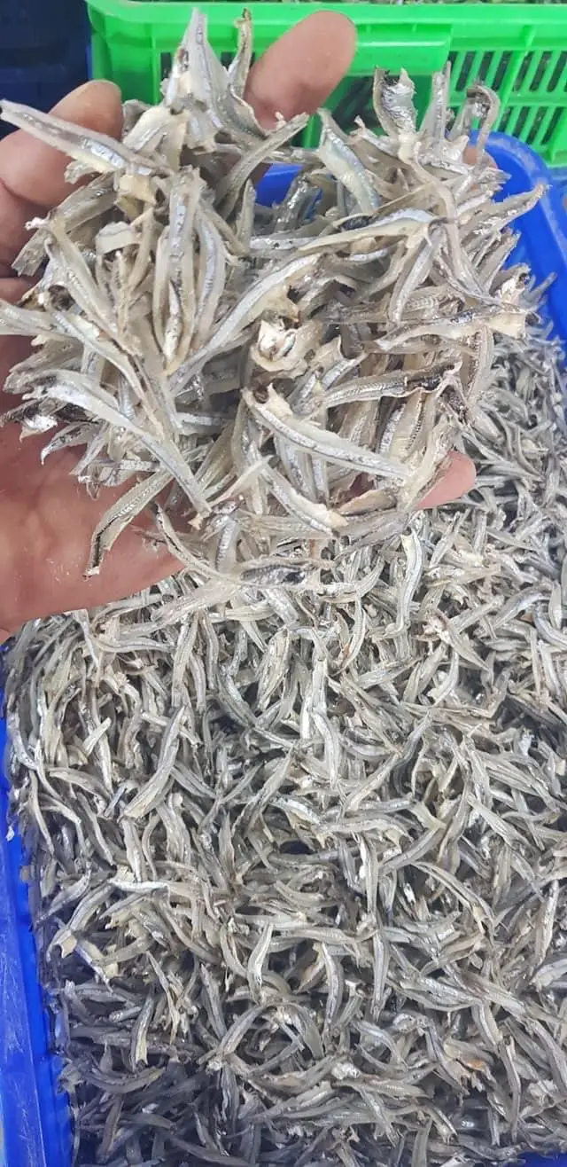 Vietnam Dry Anchovy fish anchois Whole, Headless, Split Anchovy good price - WHATSAP: 0084 989 322 607