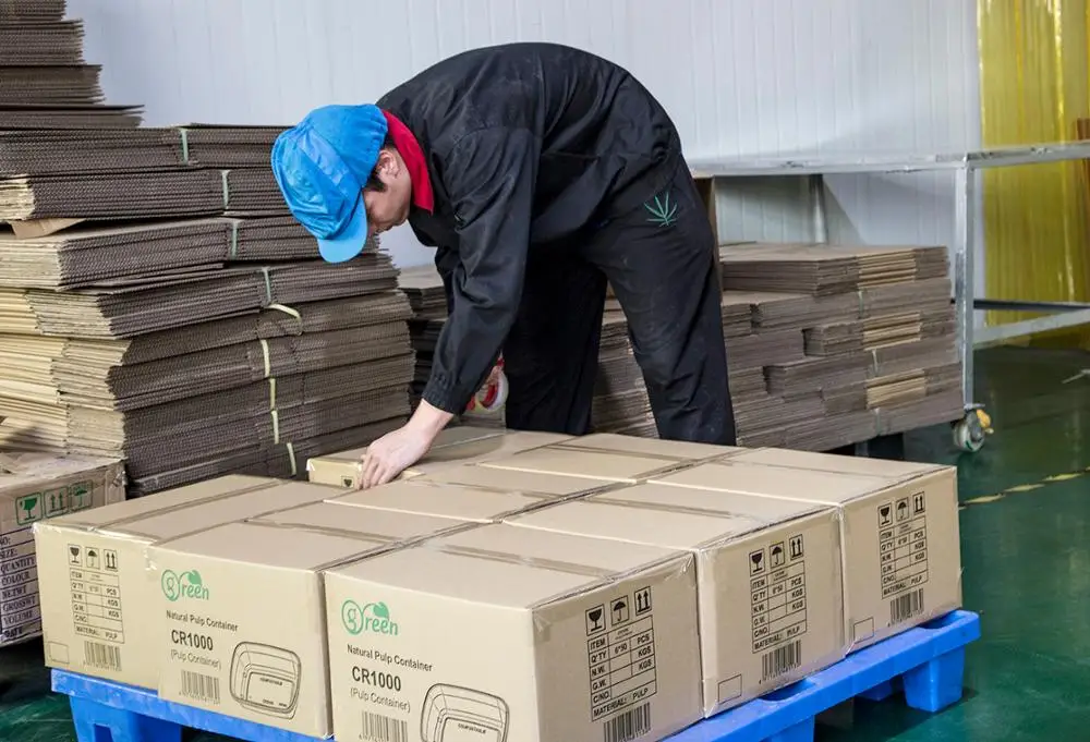  Биоразлагаемые одноразовые food grade 100% экологичен 3 отсек багасса пульпы ресторан на вынос контейнер для пищевых