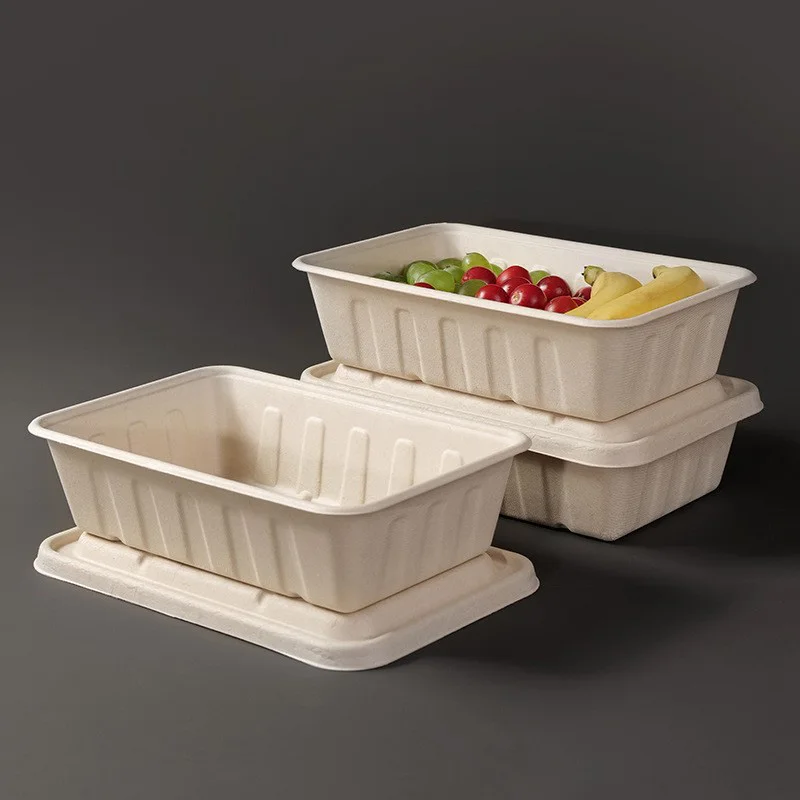 Big size 2500ml 3000ml  Biodegradable Sugarcane Disposable Take Away Food Box