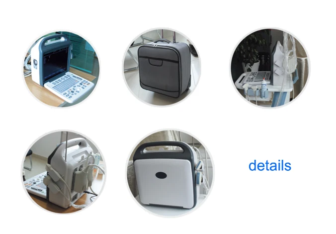 Low price Laptop Veterinary Ultrasound Scanner VET Full Digital  Ultrasonic  Diagnostic  System