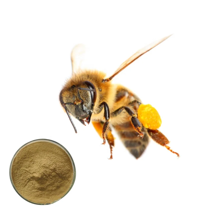 
Factory supply 100% pure propolis extract bulk 