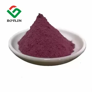 Food Grade 100% Purple Pigment Purple Carrot Powder For Beverage